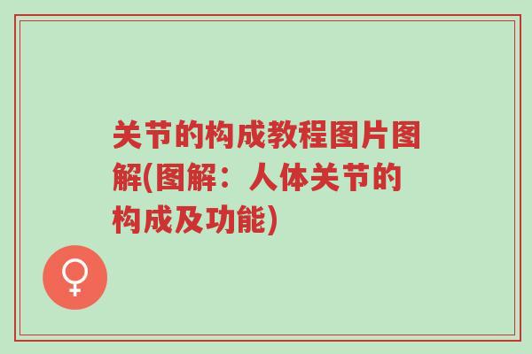 关节的构成教程图片图解(图解:人体关节的构成及功能)-第1张图片-超越 关节的构成教程图片图解(图解:人体关节的构成及功能)-第1张图片-超越