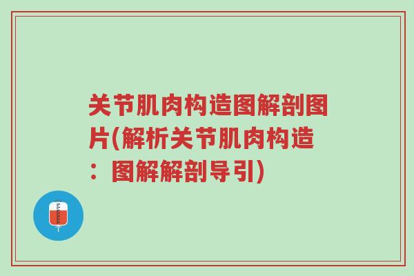 关节肌肉构造图解剖图片(解析关节肌肉构造:图解解剖导引)-第1张图片-超越 关节肌肉构造图解剖图片(解析关节肌肉构造:图解解剖导引)-第1张图片-超越