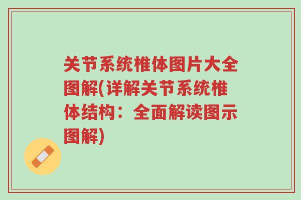 关节系统椎体图片大全图解(详解关节系统椎体结构:全面解读图示图解)-第1张图片-超越 关节系统椎体图片大全图解(详解关节系统椎体结构:全面解读图示图解)-第1张图片-超越