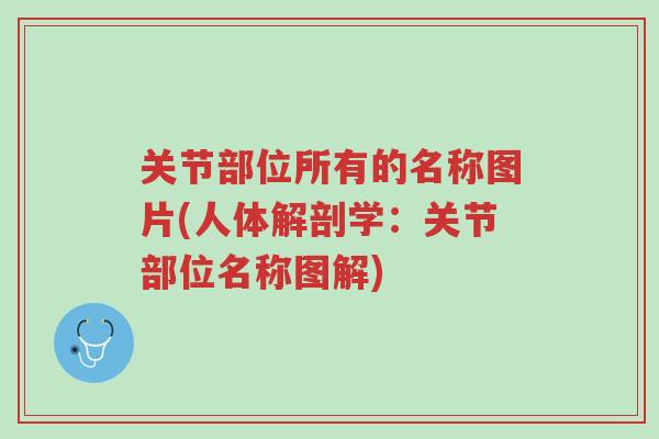 关节部位所有的名称图片(人体解剖学:关节部位名称图解)-第1张图片-超越 关节部位所有的名称图片(人体解剖学:关节部位名称图解)-第1张图片-超越