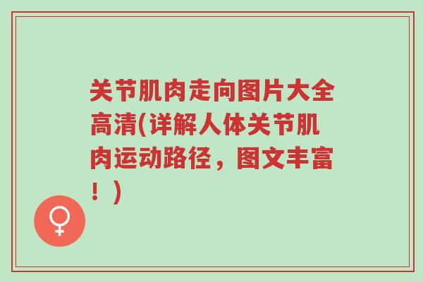关节肌肉走向图片大全高清(详解人体关节肌肉运动路径，图文丰富！)-第1张图片-超越