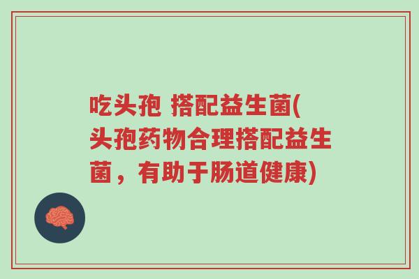 吃头孢 搭配益生菌(头孢药物合理搭配益生菌,有助于肠道健康)-第1张图片-超越 吃头孢 搭配益生菌(头孢药物合理搭配益生菌,有助于肠道健康)-第1张图片-超越