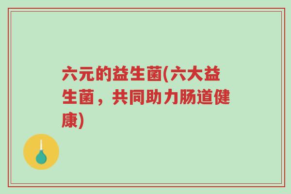 六元的益生菌(六大益生菌,共同助力肠道健康)-第1张图片-超越 六元的益生菌(六大益生菌,共同助力肠道健康)-第1张图片-超越