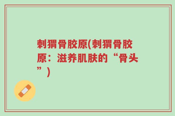 刺猬骨胶原(刺猬骨胶原:滋养肌肤的“骨头”)-第1张图片-超越 刺猬骨胶原(刺猬骨胶原:滋养肌肤的“骨头”)-第1张图片-超越