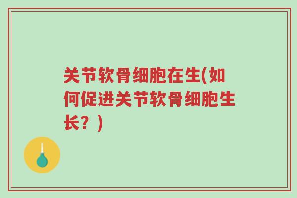 关节软骨细胞在生(如何促进关节软骨细胞生长？)-第1张图片-超越