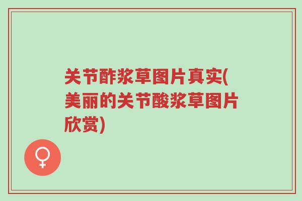 关节酢浆草图片真实(美丽的关节酸浆草图片欣赏)-第1张图片-超越 关节酢浆草图片真实(美丽的关节酸浆草图片欣赏)-第1张图片-超越