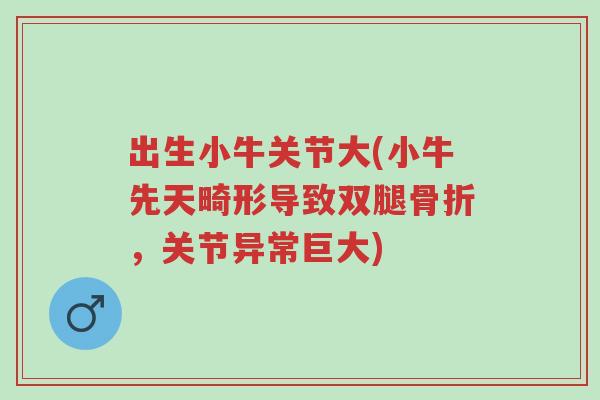 出生小牛关节大(小牛先天畸形导致双腿骨折,关节异常巨大)-第1张图片-超越 出生小牛关节大(小牛先天畸形导致双腿骨折,关节异常巨大)-第1张图片-超越