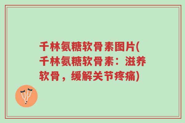 千林氨糖软骨素图片(千林氨糖软骨素:滋养软骨,缓解关节疼痛)-第1张图片-超越 千林氨糖软骨素图片(千林氨糖软骨素:滋养软骨,缓解关节疼痛)-第1张图片-超越
