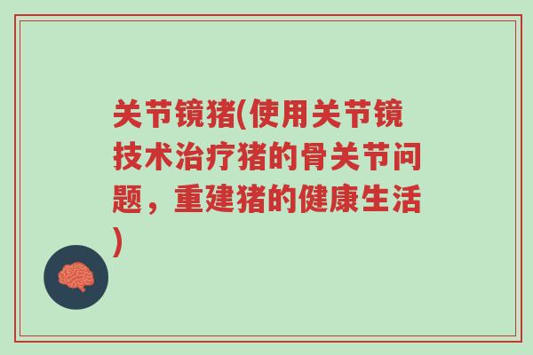 关节镜猪(使用关节镜技术治疗猪的骨关节问题,重建猪的健康生活)-第1张图片-超越 关节镜猪(使用关节镜技术治疗猪的骨关节问题,重建猪的健康生活)-第1张图片-超越