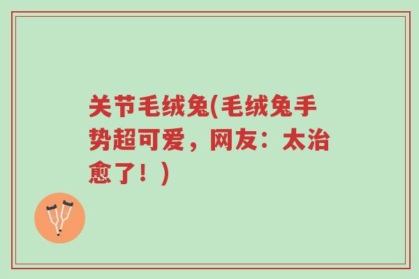 关节毛绒兔(毛绒兔手势超可爱，网友：太治愈了！)-第1张图片-超越