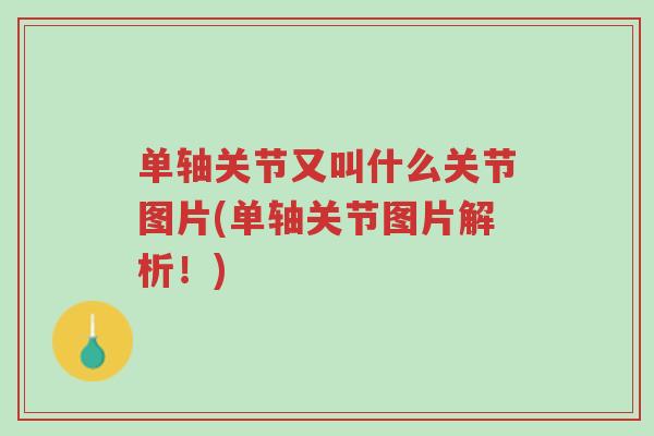 单轴关节又叫什么关节图片(单轴关节图片解析！)-第1张图片-超越