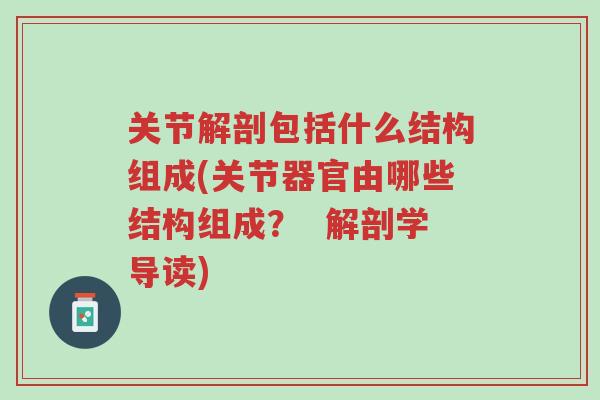 关节解剖包括什么结构组成(关节器官由哪些结构组成? 解剖学导读)-第1张图片-超越 关节解剖包括什么结构组成(关节器官由哪些结构组成? 解剖学导读)-第1张图片-超越