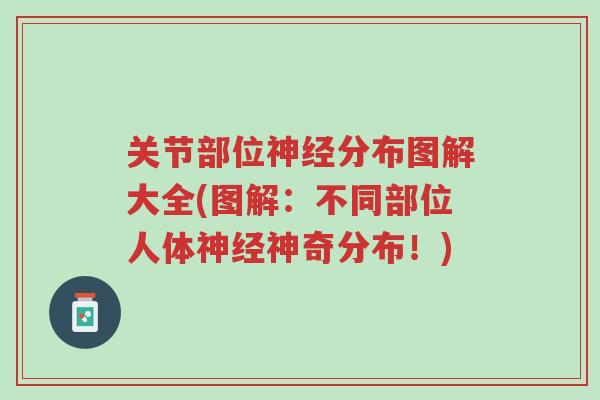 关节部位神经分布图解大全(图解:不同部位人体神经神奇分布!)-第1张图片-超越 关节部位神经分布图解大全(图解:不同部位人体神经神奇分布!)-第1张图片-超越