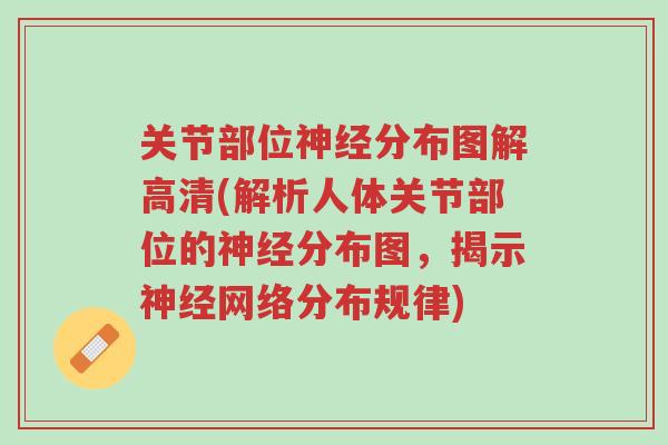 关节部位神经分布图解高清(解析人体关节部位的神经分布图，揭示神经网络分布规律)-第1张图片-超越