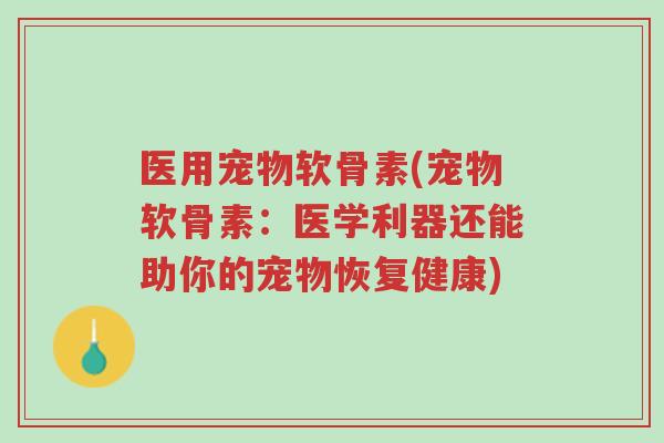 医用宠物软骨素(宠物软骨素:医学利器还能助你的宠物恢复健康)-第1张图片-超越 医用宠物软骨素(宠物软骨素:医学利器还能助你的宠物恢复健康)-第1张图片-超越
