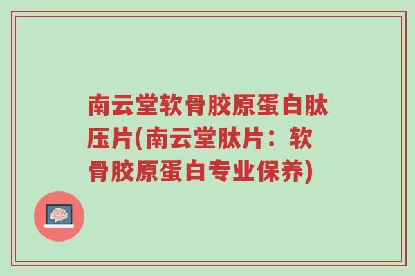 南云堂软骨胶原蛋白肽压片(南云堂肽片：软骨胶原蛋白专业保养)-第1张图片-超越