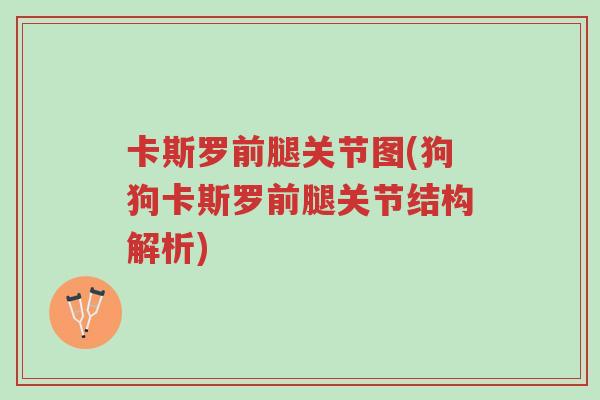 卡斯罗前腿关节图(狗狗卡斯罗前腿关节结构解析)-第1张图片-超越 卡斯罗前腿关节图(狗狗卡斯罗前腿关节结构解析)-第1张图片-超越