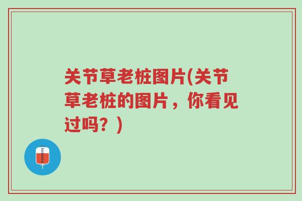 关节草老桩图片(关节草老桩的图片,你看见过吗?)-第1张图片-超越 关节草老桩图片(关节草老桩的图片,你看见过吗?)-第1张图片-超越