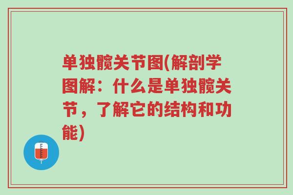 单独髋关节图(解剖学图解:什么是单独髋关节,了解它的结构和功能)-第1张图片-超越 单独髋关节图(解剖学图解:什么是单独髋关节,了解它的结构和功能)-第1张图片-超越