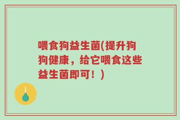 喂食狗益生菌(提升狗狗健康,给它喂食这些益生菌即可!)-第1张图片-超越 喂食狗益生菌(提升狗狗健康,给它喂食这些益生菌即可!)-第1张图片-超越