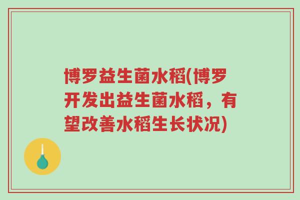 博罗益生菌水稻(博罗开发出益生菌水稻,有望改善水稻生长状况)-第1张图片-超越 博罗益生菌水稻(博罗开发出益生菌水稻,有望改善水稻生长状况)-第1张图片-超越