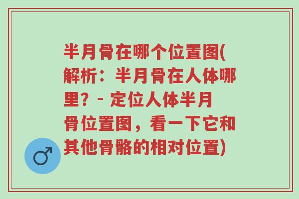 半月骨在哪个位置图(解析:半月骨在人体哪里?- 定位人体半月骨位置图,看一下它和其他骨骼的相对位置)-第1张图片-超越 半月骨在哪个位置图(解析:半月骨在人体哪里?- 定位人体半月骨位置图,看一下它和其他骨骼的相对位置)-第1张图片-超越