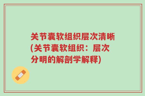 关节囊软组织层次清晰(关节囊软组织:层次分明的解剖学解释)-第1张图片-超越 关节囊软组织层次清晰(关节囊软组织:层次分明的解剖学解释)-第1张图片-超越