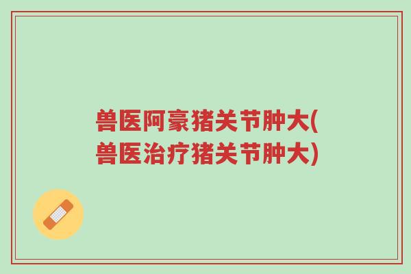 兽医阿豪猪关节肿大(兽医治疗猪关节肿大)-第1张图片-超越 兽医阿豪猪关节肿大(兽医治疗猪关节肿大)-第1张图片-超越