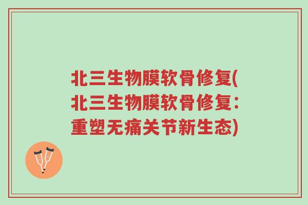 北三生物膜软骨修复(北三生物膜软骨修复:重塑无痛关节新生态)-第1张图片-超越 北三生物膜软骨修复(北三生物膜软骨修复:重塑无痛关节新生态)-第1张图片-超越