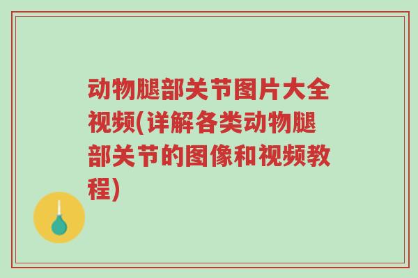 动物腿部关节图片大全视频(详解各类动物腿部关节的图像和视频教程)-第1张图片-超越