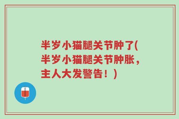 半岁小猫腿关节肿了(半岁小猫腿关节肿胀,主人大发警告!)-第1张图片-超越 半岁小猫腿关节肿了(半岁小猫腿关节肿胀,主人大发警告!)-第1张图片-超越