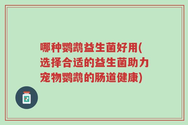 哪种鹦鹉益生菌好用(选择合适的益生菌助力宠物鹦鹉的肠道健康)-第1张图片-超越 哪种鹦鹉益生菌好用(选择合适的益生菌助力宠物鹦鹉的肠道健康)-第1张图片-超越