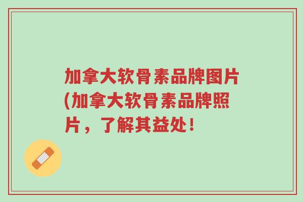 加拿大软骨素品牌图片(加拿大软骨素品牌照片,了解其益处!-第1张图片-超越 加拿大软骨素品牌图片(加拿大软骨素品牌照片,了解其益处!-第1张图片-超越