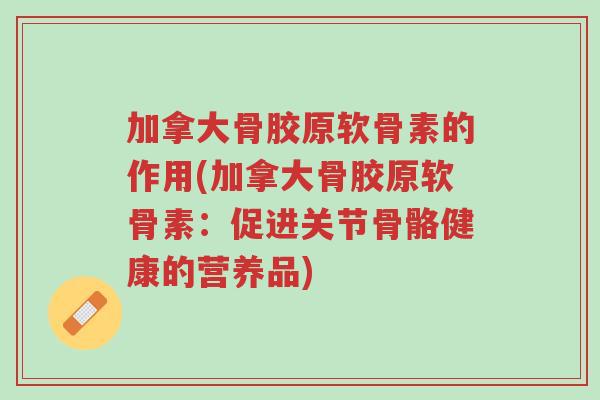 加拿大骨胶原软骨素的作用(加拿大骨胶原软骨素:促进关节骨骼健康的营养品)-第1张图片-超越 加拿大骨胶原软骨素的作用(加拿大骨胶原软骨素:促进关节骨骼健康的营养品)-第1张图片-超越