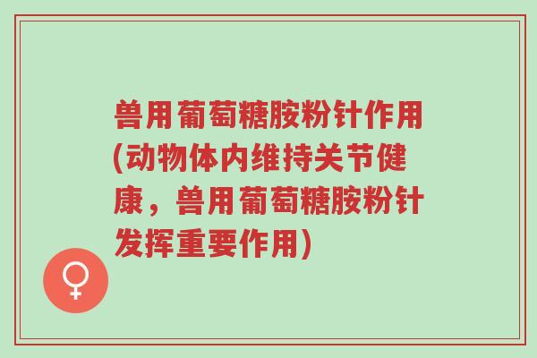 兽用葡萄糖胺粉针作用(动物体内维持关节健康,兽用葡萄糖胺粉针发挥重要作用)-第1张图片-超越 兽用葡萄糖胺粉针作用(动物体内维持关节健康,兽用葡萄糖胺粉针发挥重要作用)-第1张图片-超越