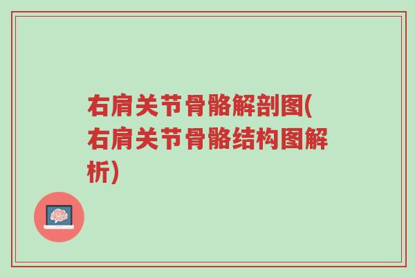 右肩关节骨骼解剖图(右肩关节骨骼结构图解析)-第1张图片-超越 右肩关节骨骼解剖图(右肩关节骨骼结构图解析)-第1张图片-超越