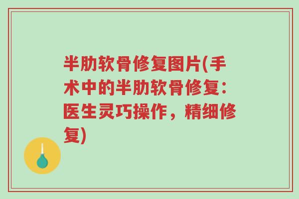 半肋软骨修复图片(手术中的半肋软骨修复：医生灵巧操作，精细修复)-第1张图片-超越