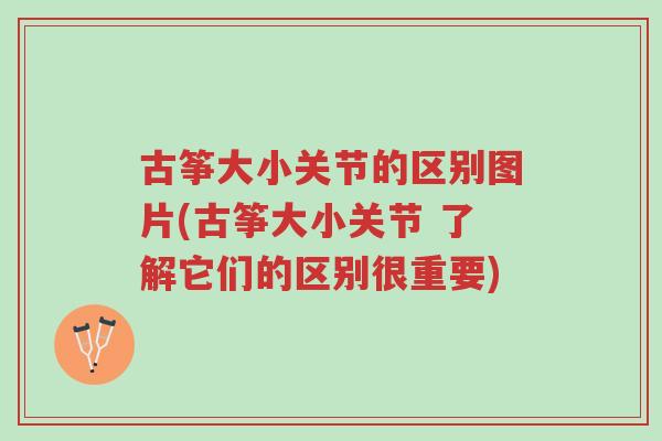 古筝大小关节的区别图片(古筝大小关节 了解它们的区别很重要)-第1张图片-超越 古筝大小关节的区别图片(古筝大小关节 了解它们的区别很重要)-第1张图片-超越