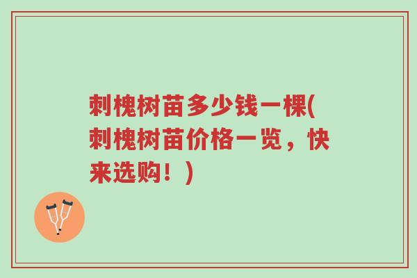 刺槐树苗多少钱一棵(刺槐树苗价格一览，快来选购！)-第1张图片-超越