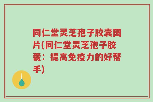 同仁堂灵芝孢子胶囊图片(同仁堂灵芝孢子胶囊：提高免疫力的好帮手)-第1张图片-超越