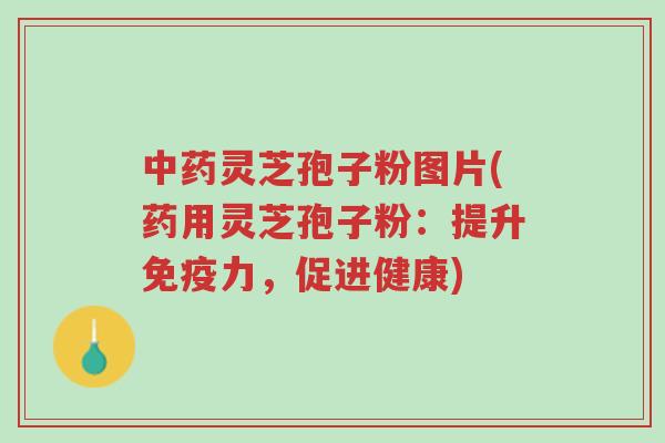 中药灵芝孢子粉图片(药用灵芝孢子粉:提升免疫力,促进健康)-第1张图片-超越 中药灵芝孢子粉图片(药用灵芝孢子粉:提升免疫力,促进健康)-第1张图片-超越