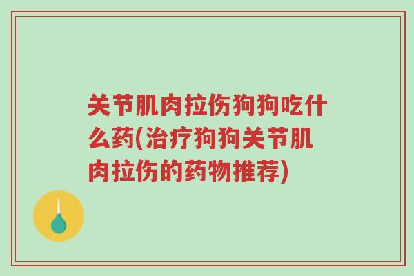 关节肌肉拉伤狗狗吃什么药(治疗狗狗关节肌肉拉伤的药物推荐)-第1张图片-超越 关节肌肉拉伤狗狗吃什么药(治疗狗狗关节肌肉拉伤的药物推荐)-第1张图片-超越