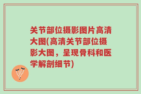 关节部位摄影图片高清大图(高清关节部位摄影大图,呈现骨科和医学解剖细节)-第1张图片-超越 关节部位摄影图片高清大图(高清关节部位摄影大图,呈现骨科和医学解剖细节)-第1张图片-超越