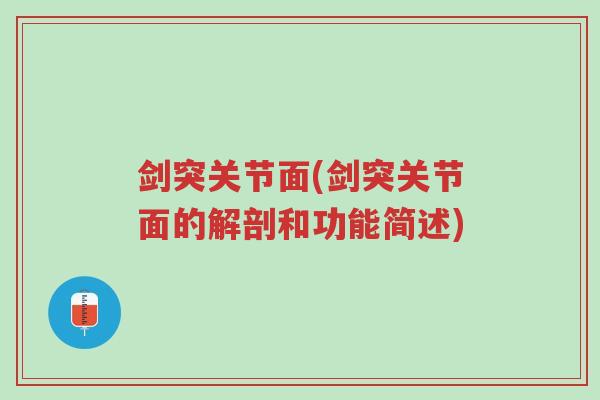剑突关节面(剑突关节面的解剖和功能简述)-第1张图片-超越 剑突关节面(剑突关节面的解剖和功能简述)-第1张图片-超越