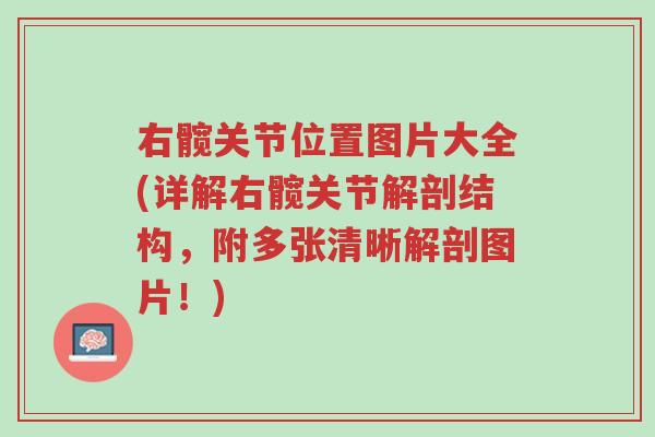 右髋关节位置图片大全(详解右髋关节解剖结构,附多张清晰解剖图片!)-第1张图片-超越 右髋关节位置图片大全(详解右髋关节解剖结构,附多张清晰解剖图片!)-第1张图片-超越