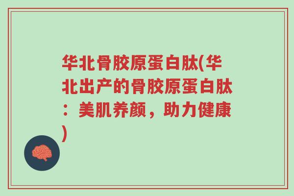 华北骨胶原蛋白肽(华北出产的骨胶原蛋白肽:美肌养颜,助力健康)-第1张图片-超越 华北骨胶原蛋白肽(华北出产的骨胶原蛋白肽:美肌养颜,助力健康)-第1张图片-超越