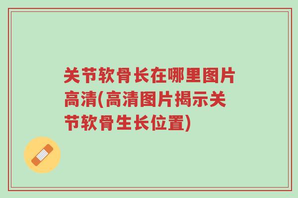 关节软骨长在哪里图片高清(高清图片揭示关节软骨生长位置)-第1张图片-超越