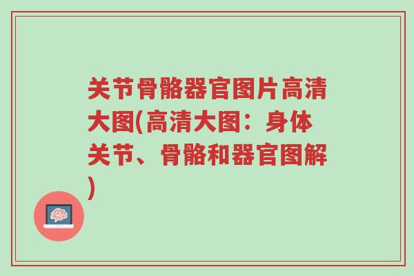 关节骨骼器官图片高清大图(高清大图:身体关节、骨骼和器官图解)-第1张图片-超越 关节骨骼器官图片高清大图(高清大图:身体关节、骨骼和器官图解)-第1张图片-超越