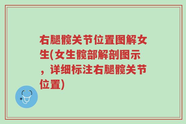 右腿髋关节位置图解女生(女生髋部解剖图示,详细标注右腿髋关节位置)-第1张图片-超越 右腿髋关节位置图解女生(女生髋部解剖图示,详细标注右腿髋关节位置)-第1张图片-超越