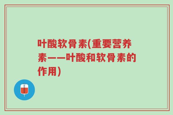 叶酸软骨素(重要营养素——叶酸和软骨素的作用)-第1张图片-超越